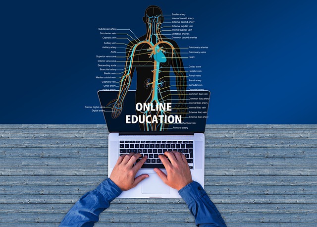 Online Eğitimde Başarı Taktikleri