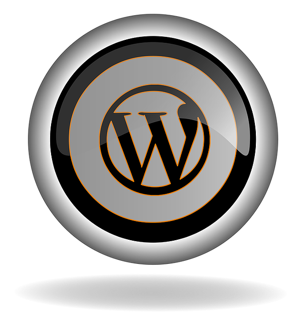 WordPress Kurulum Rehberi WordPress Kurulum Rehberi