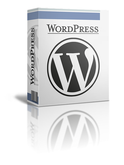 WordPress Kurulum Rehberi WordPress Kurulum Rehberi