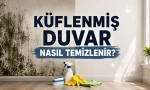 Küflenmiş Duvar Nasıl Temizlenir